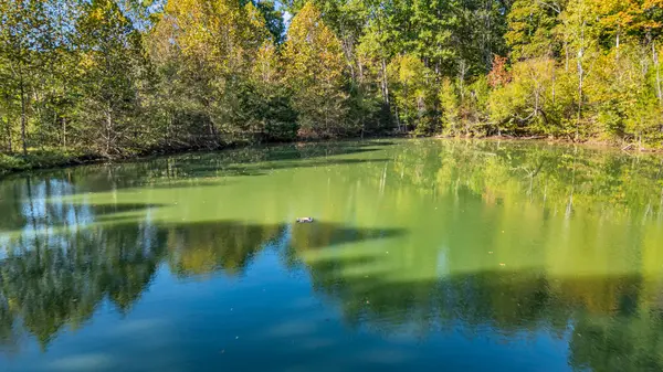 1839 Poplar Bluff Rd #W, Auburntown, TN 37016