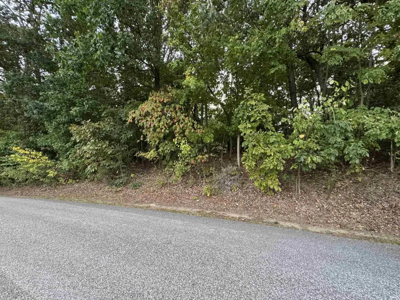 Lot 93 Santa's Fairways LN, Santa Claus, IN 47579