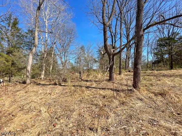 569 Ervey Rd, Allamuchy Twp., NJ 07821
