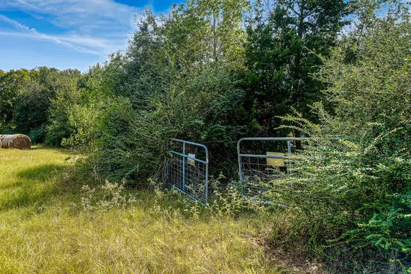 37280 Clapp RD, Brookshire, TX 77423