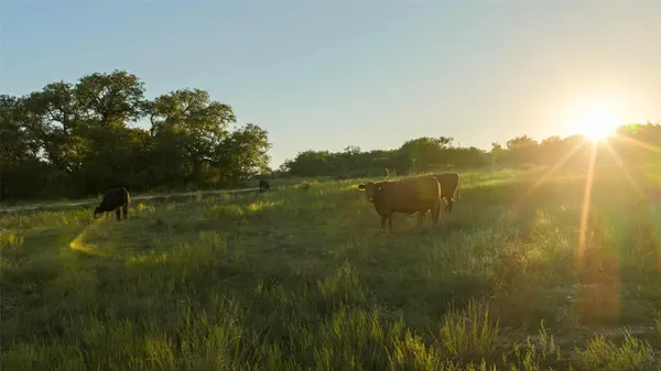 4318 Maenius RD, Blanco, TX 78606