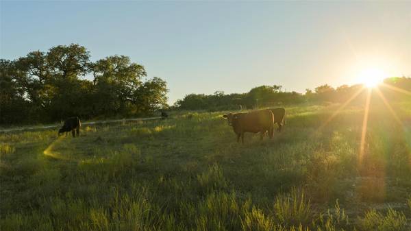 4318 Maenius RD, Blanco, TX 78606