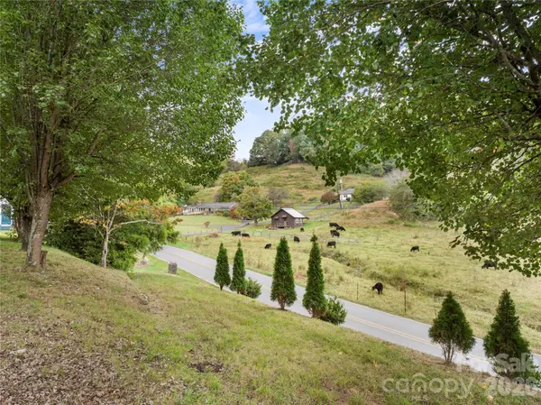 1277 Henson Cove RD, Canton, NC 28716