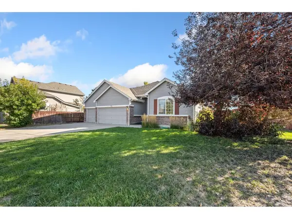 111 Kits, Johnstown, CO 80534