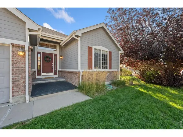 111 Kits, Johnstown, CO 80534