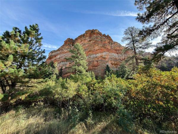 6235 Perry Park, Larkspur, CO 80118