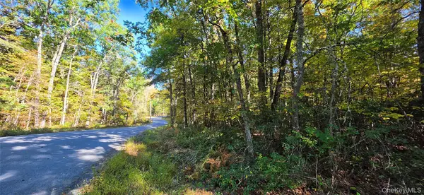 Lot #86 Perry Pond Road, Narrowsburg, NY 12764