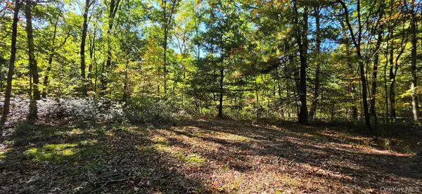 Lot #86 Perry Pond Road, Narrowsburg, NY 12764