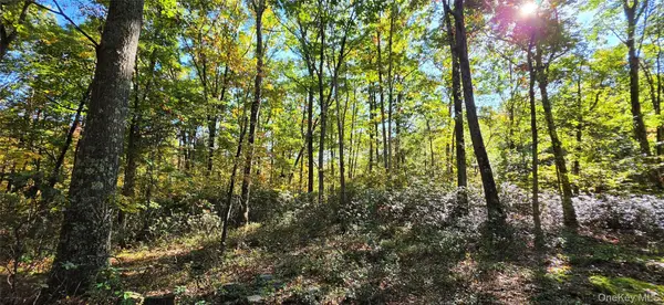 Lot #86 Perry Pond RD, Narrowsburg, NY 12764
