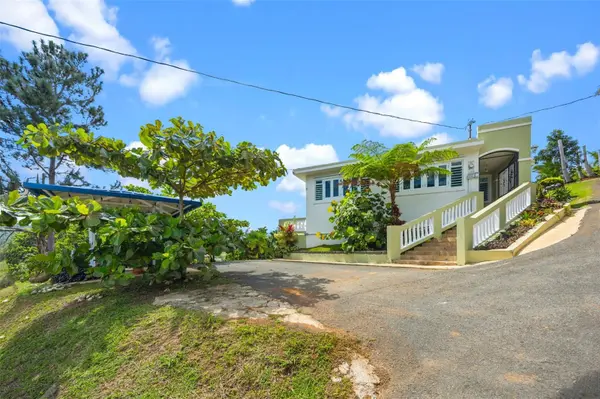 803 BO. CEDRO ARRIBA KM 9.2, Naranjito, PR 00719