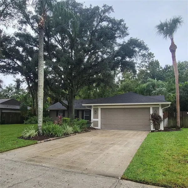 14906 WINTERWIND DR, Tampa, FL 33624