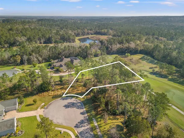 20132 ENGLISH WALNUT PL, Brooksville, FL 34601