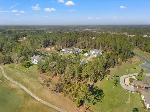 20132 ENGLISH WALNUT PL, Brooksville, FL 34601