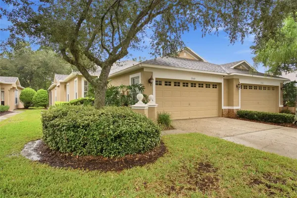 19149 LAKE AUDUBON DR, Tampa, FL 33647