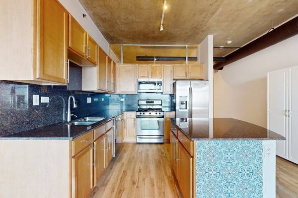 1305 S Michigan AVE #2004, Chicago, IL 60605