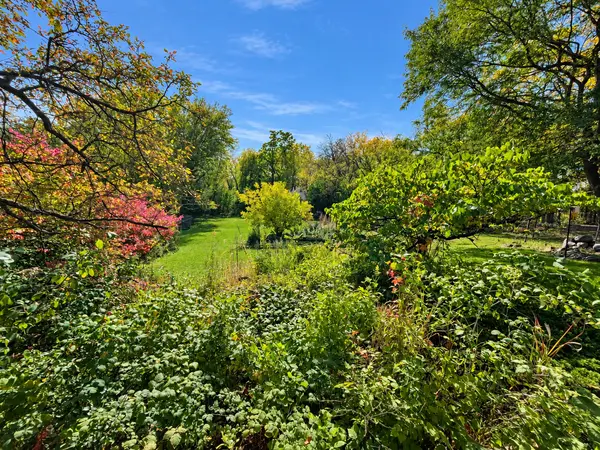 10605 Belmont RD, Minnetonka, MN 55305