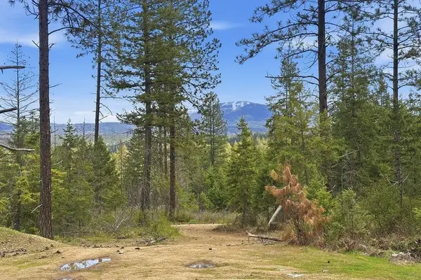 8300 E Lodge Pole Ln #49304.9070, Chattaroy, WA 99003