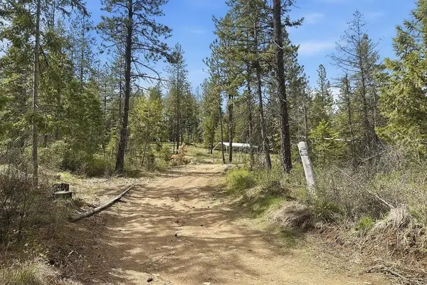 8300 E Lodge Pole Ln #49304.9070, Chattaroy, WA 99003