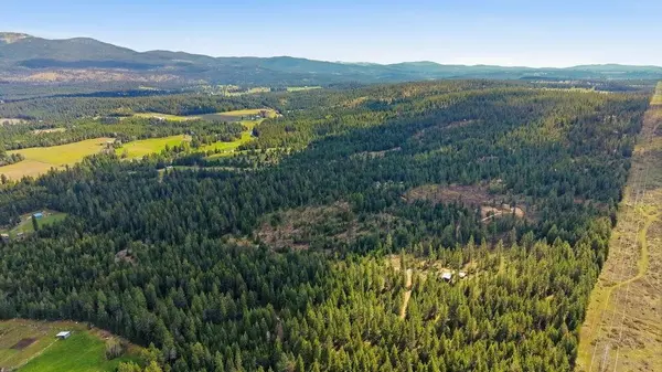 8300 E Lodge Pole Ln #49304.9061, Chattaroy, WA 99003