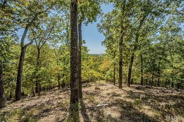 1302 Bear Canyon RD, Wildwood, MO 63021