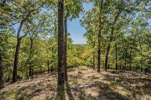 1302 Bear Canyon RD, Wildwood, MO 63021
