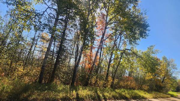 TBD County Road 55 RD NE, Remer, MN 56672