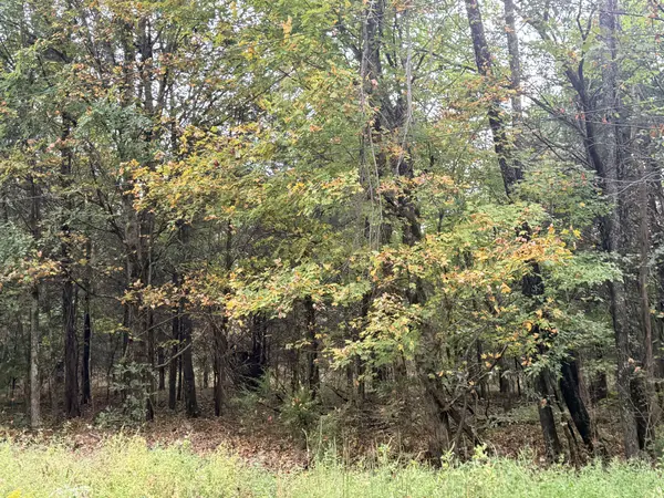 0 Scott Branch Rd, Hampshire, TN 38461