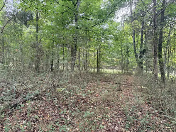 0 Scott Branch Rd, Hampshire, TN 38461