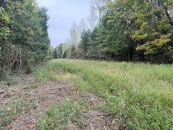0 Scott Branch Rd, Hampshire, TN 38461