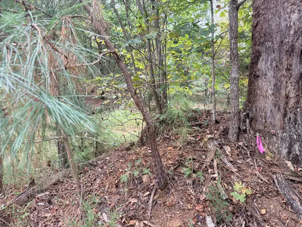 0 Scott Branch Rd, Hampshire, TN 38461