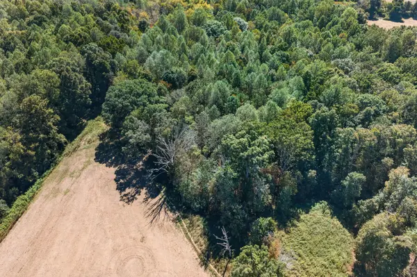 0 Shores Rd, Silver Point, TN 38582