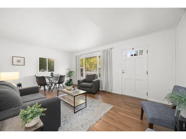 306 6th, Windsor, CO 80550