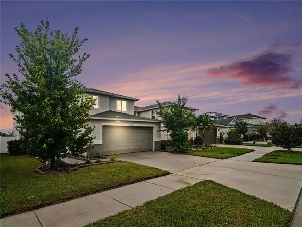 10439 LAGUNA PLAINS DR, Riverview, FL 33578