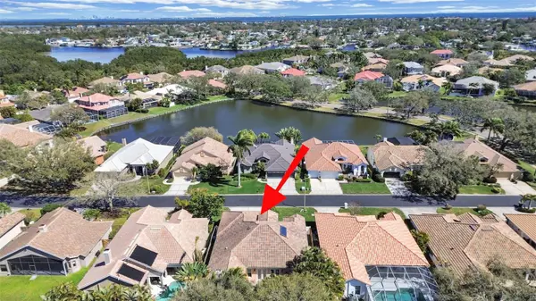 4833 WINDMILL PALM TER NE, St Petersburg, FL 33703