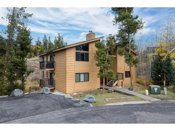 843 Badger #C, Fraser, CO 80442