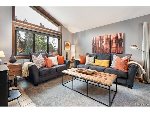 843 Badger #C, Fraser, CO 80442