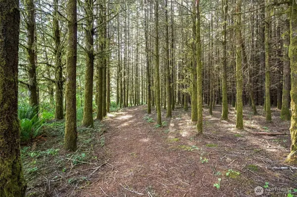 726 Elk Creek RD, Chehalis, WA 98532