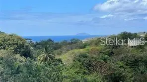 47 CARR. 412 INTERIOR #2, Rincon, PR 00677