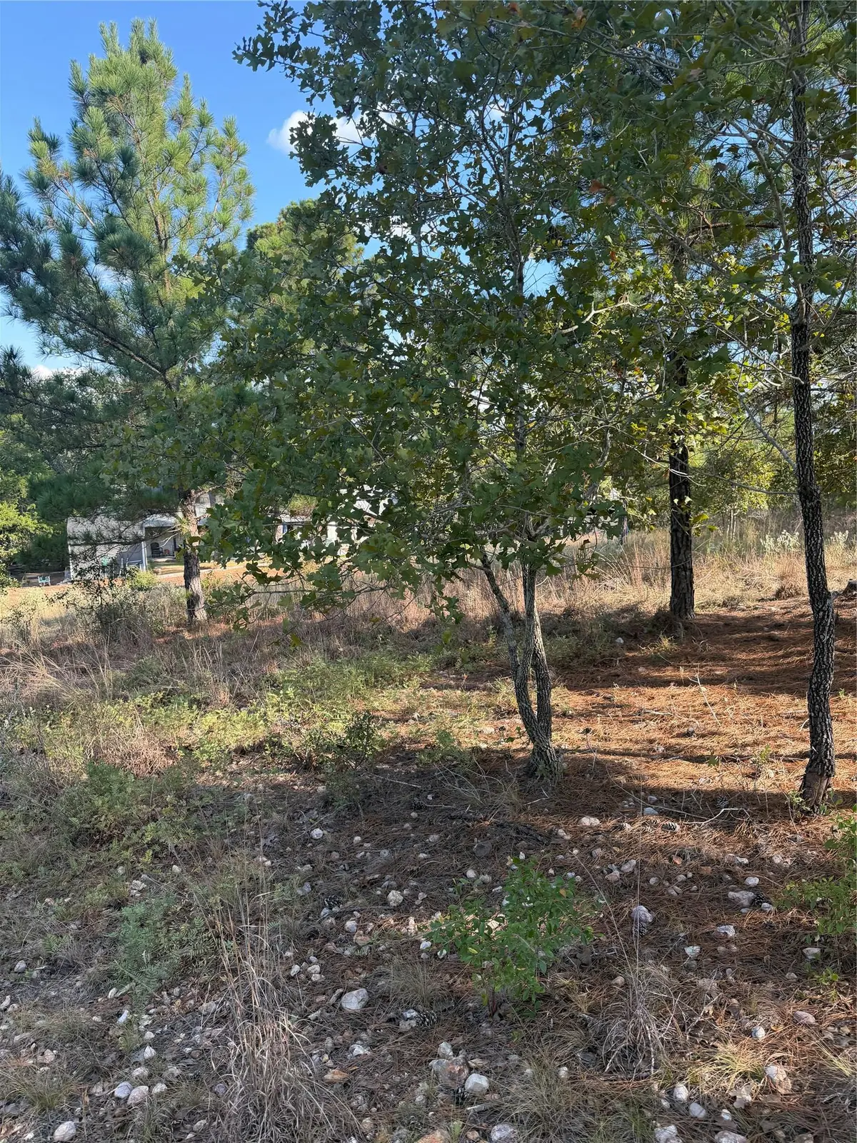 Lot 702 Oahu CT, Bastrop, TX 78602