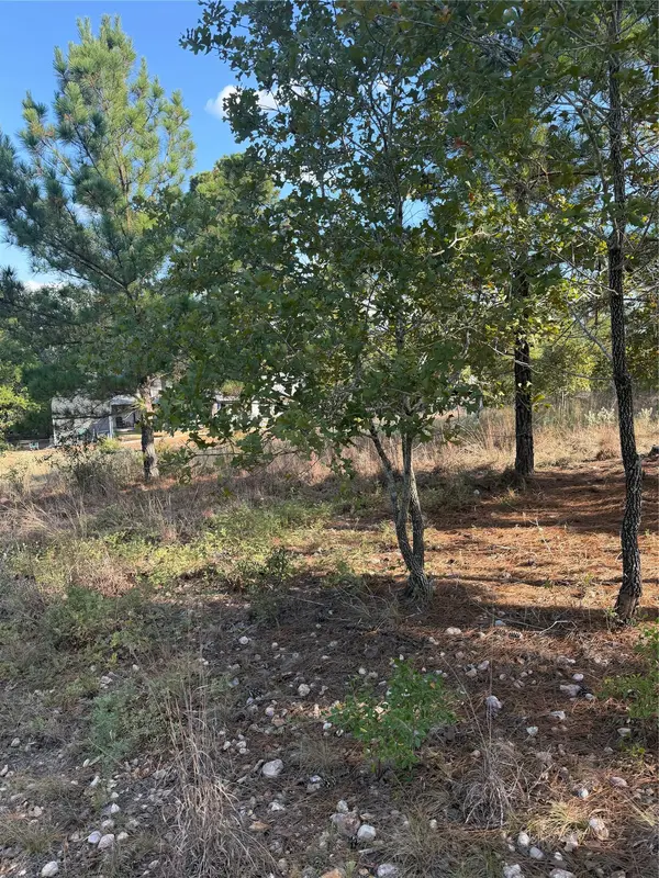 Lot 702 Oahu CT, Bastrop, TX 78602