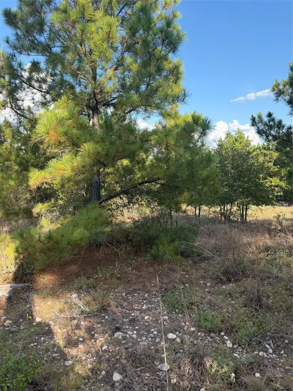 Lot 702 Oahu CT, Bastrop, TX 78602
