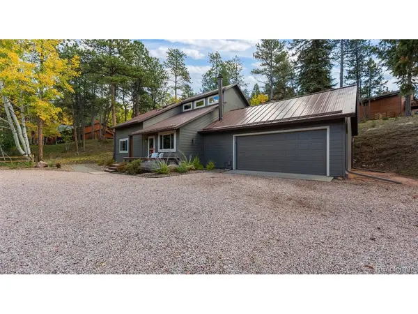 1001 Paradise Valley, Woodland Park, CO 80863