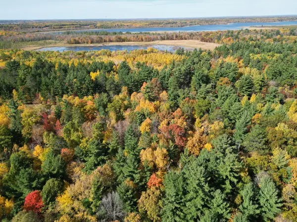 XXXX County Road 19, Merrifield, MN 56465