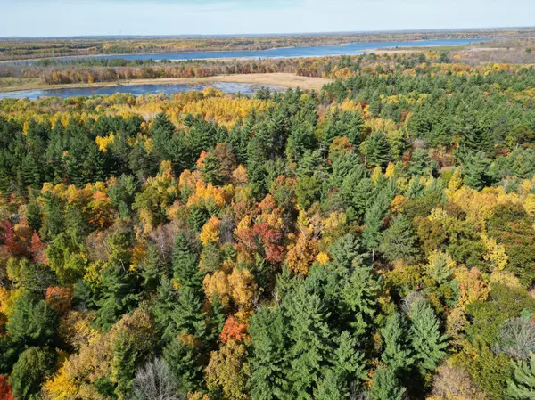 XXXX County Road 19, Merrifield, MN 56465