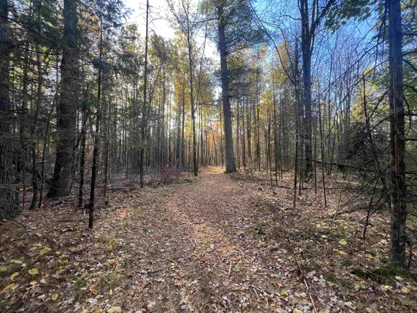 OLD 38 RD, Amberg, WI 54102