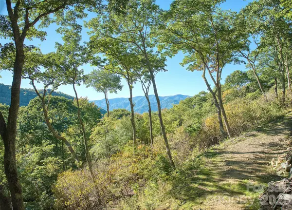 270 Olli TRL, Maggie Valley, NC 28751