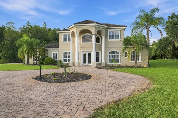 19153 GERACI RD, Lutz, FL 33558