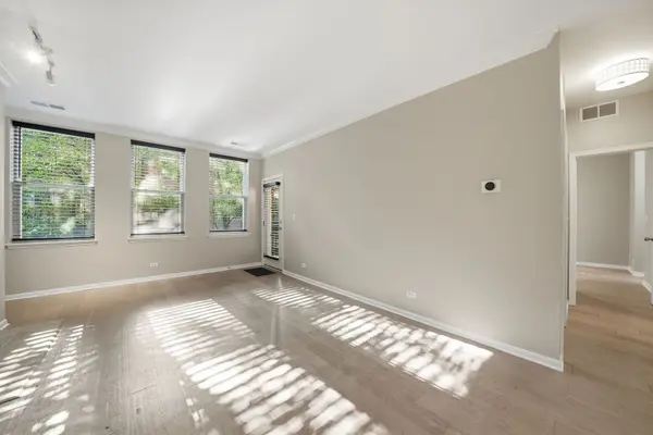 1225 N ORLEANS ST #602, Chicago, IL 60610