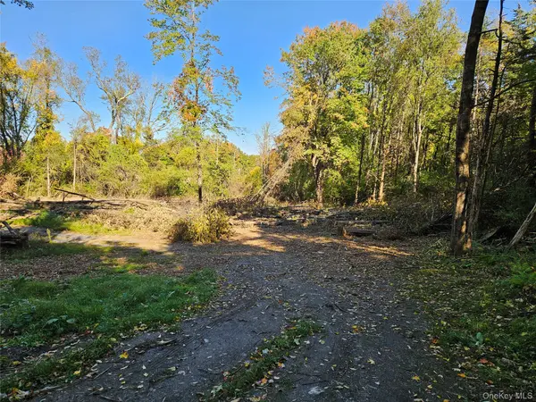 Halls Corners Rd, Dover Plains, NY 12522