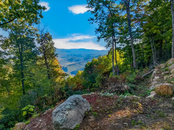 5979 Hopi Trail, Del Rio, TN 37727